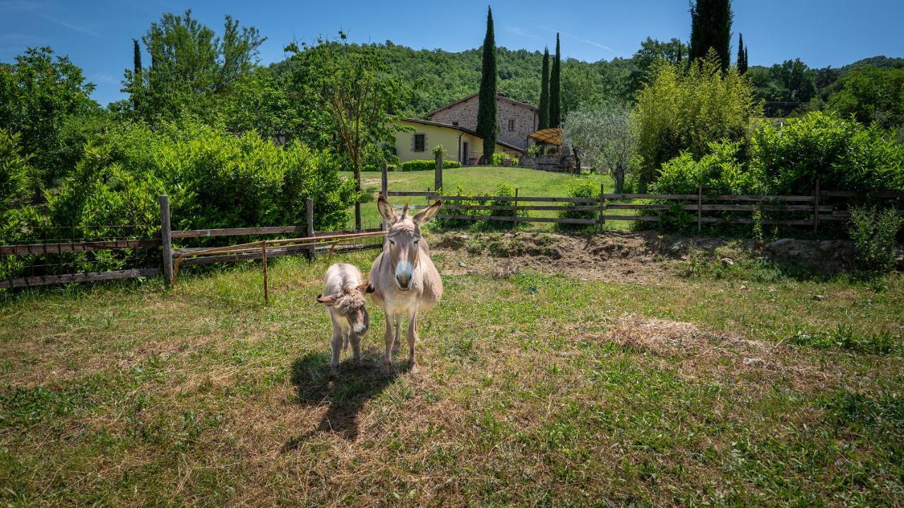 Agriturismo I Pietrini 페루자 외부 사진